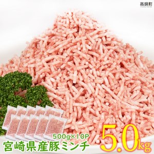 宮崎県産豚ミンチ5.0kg