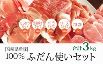宮崎県産豚 普段使いセット 合計3kg
