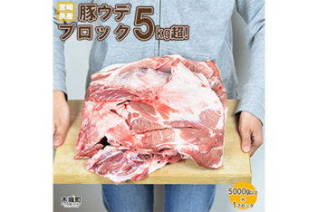 宮崎県産豚ウデブロック５kg超!