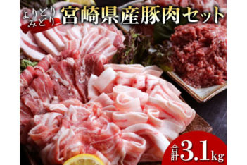 宮崎県産豚肉セット