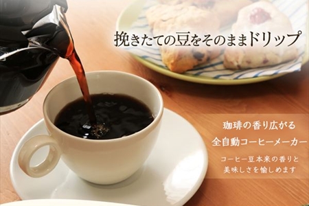 『豆から挽く香り高いコーヒーの秘密：アイリスオーヤマBLIAC-A600の全自動機能とは？』