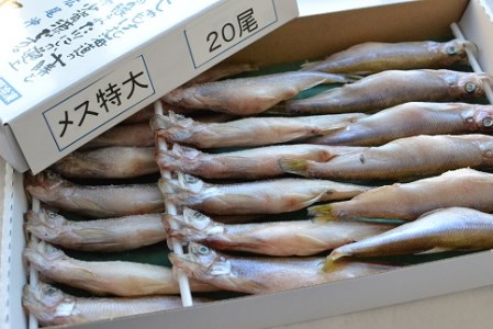 ししゃも漁獲量日本一の町の返礼品