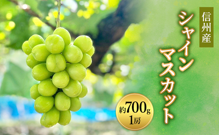 信州産シャインマスカット約700g（1房）