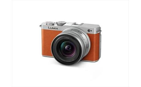 ふるさと納税でもらえるパナソニックのフルサイズミラーレス一眼カメラ LUMIX DC-S9N-D（リアルタイムLUT搭載）