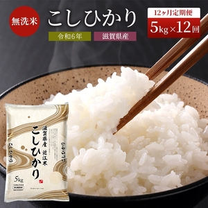 米 定期便 12ヶ月 こしひかり BG無洗米 5kg 令和6年産新米 ふるさと応援特別米