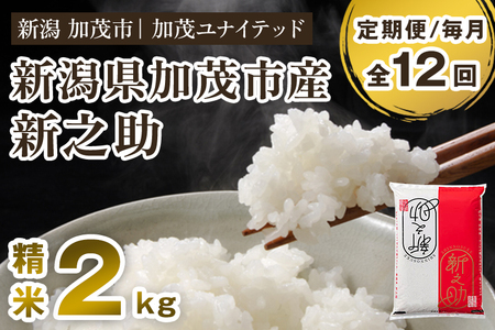 【定期便12ヶ月毎月お届け】新潟県産 新之助 精米2kg 《2kg×1袋》