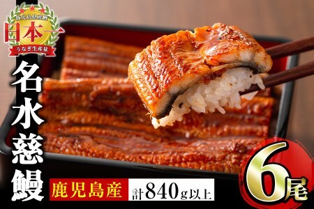 鹿児島県産うなぎ蒲焼 名水慈鰻 6尾＜計840g以上＞