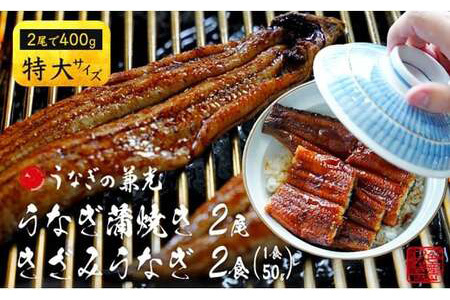 愛知県三河一色産うなぎ蒲焼き特大サイズ2尾+きざみうなぎ2食入りセット