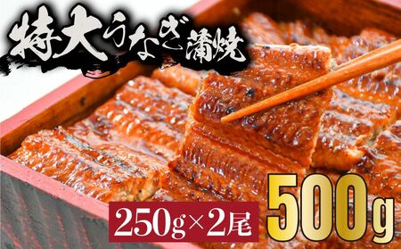 特大うなぎ　かば焼き　250gX2尾