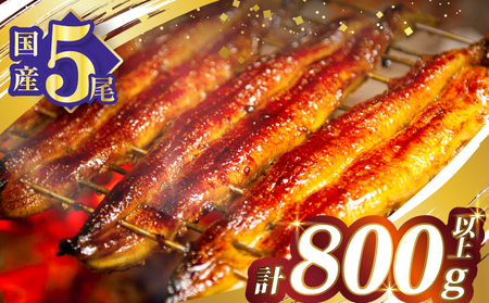 うなぎ蒲焼5尾(さんしょう・たれ付き)計800g以上