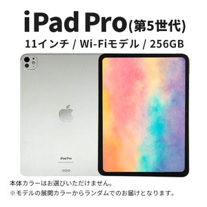 Apple iPad Pro 11インチ 256GB Wi-Fiモデル 第5世代 Aランク