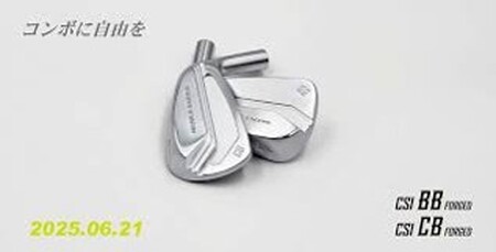 ふるさと納税 ラズルダズル CSIコンボアイアン