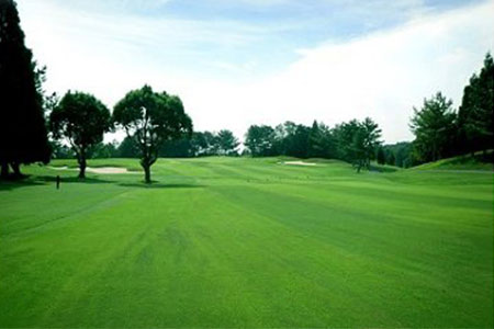 ライオンズカントリー倶楽部で使える利用券