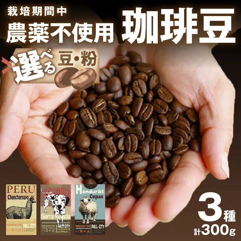 八月の犬のコーヒー豆3種飲み比べセット